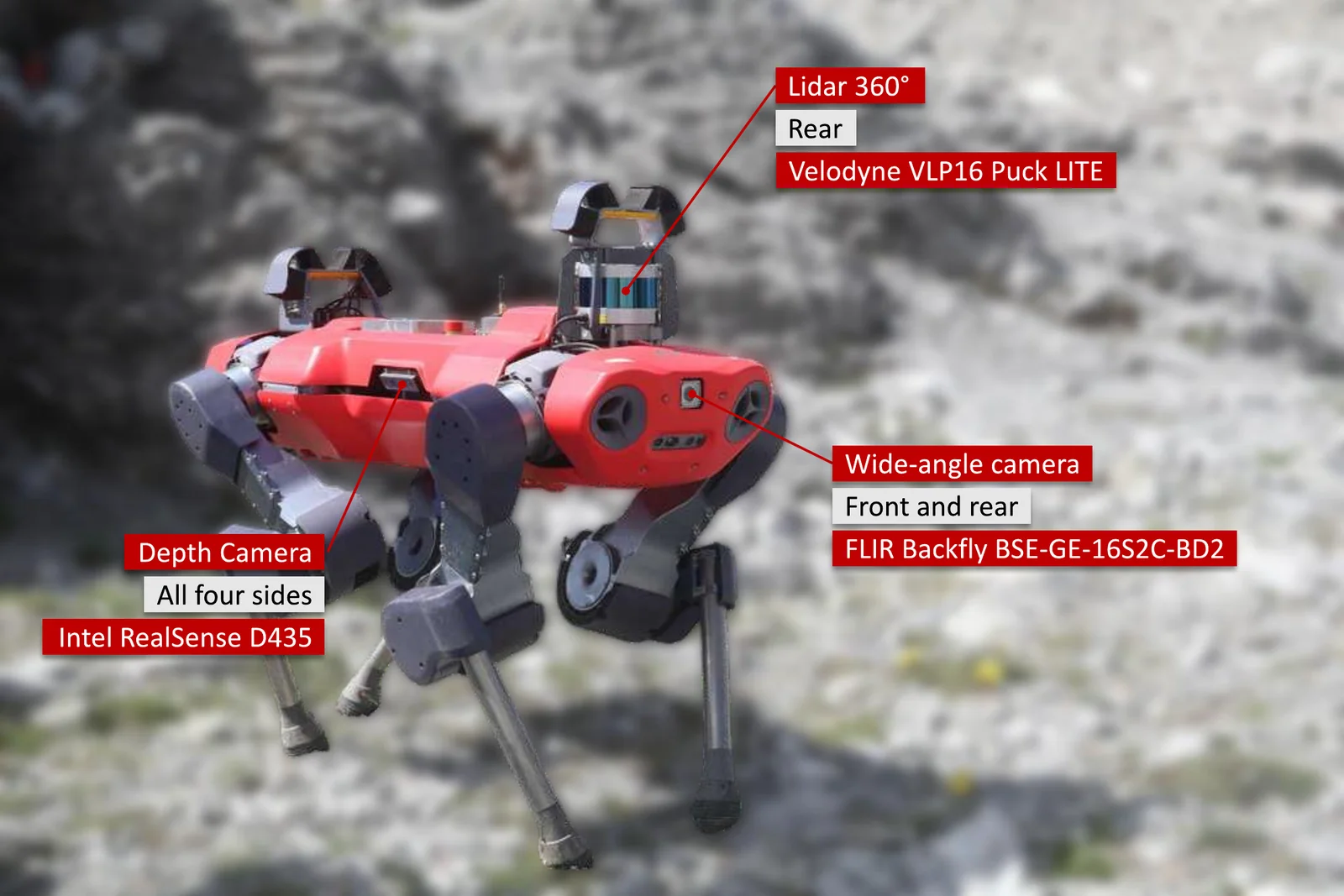 The ANYmal C robot with callouts marking the 360° lidar, the four depth cameras, and the front and rear wide-angle cameras.