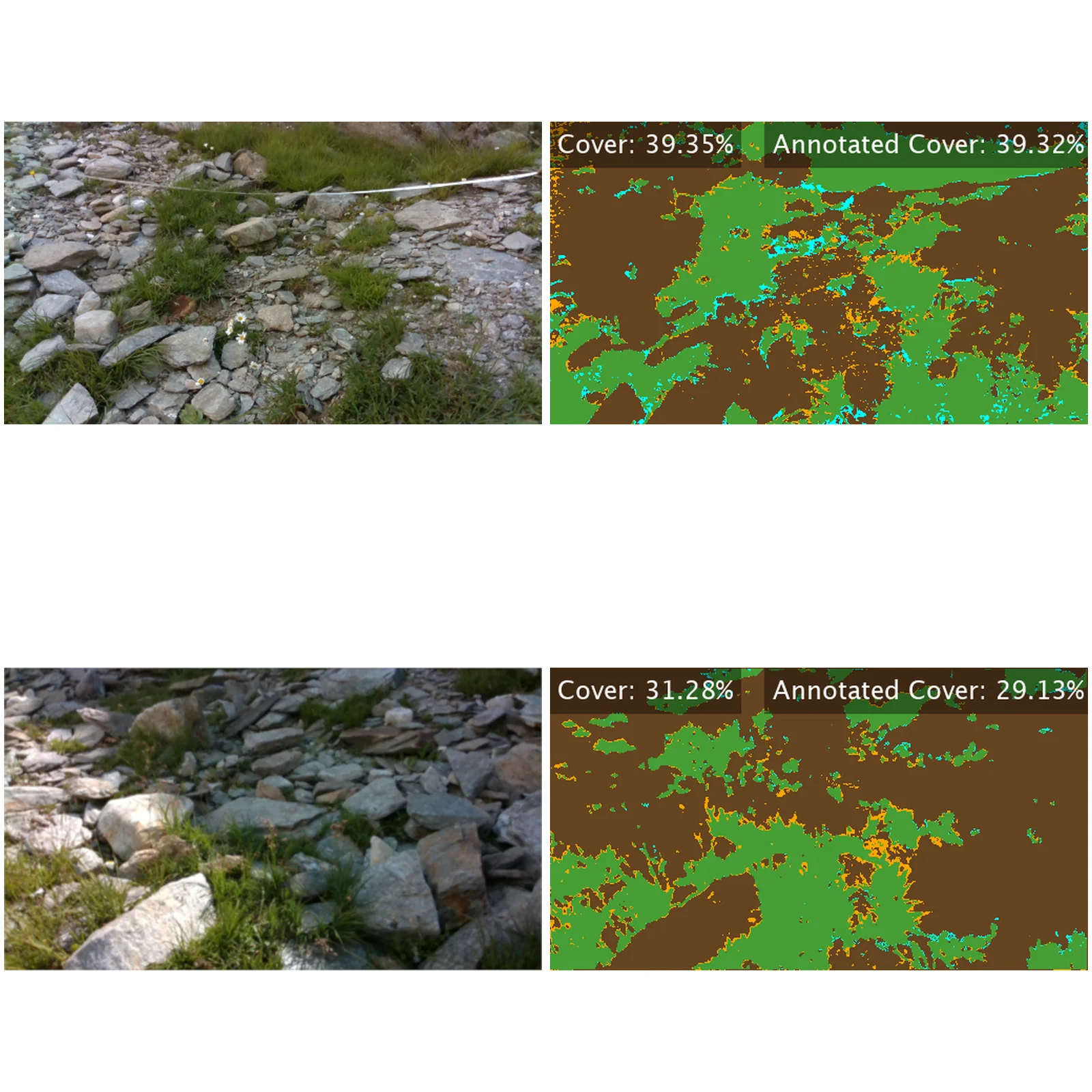 Two scree photographs next to their segmented versions, where green marks correctly detected vegetation, brown correctly detected background, and orange and cyan the errors.